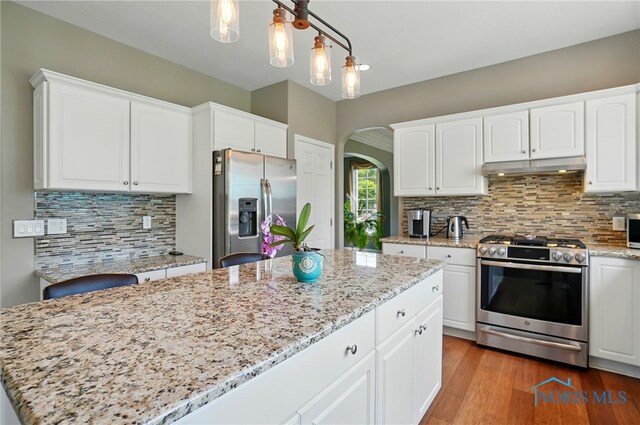 7433 Valhalla Dr, Maumee, OH 43537 - kitchen with stainless steel appliances, arched walkways, under cabinet range hood, and light stone countertops