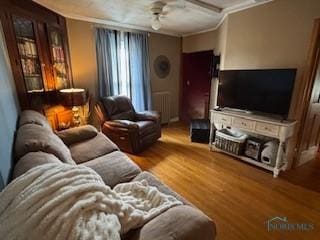 443 E 4th St, Ottawa, OH 45875 - living room with ornamental molding, radiator, and wood finished floors