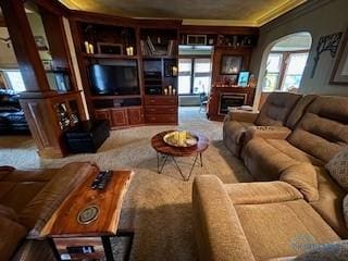 443 E 4th St, Ottawa, OH 45875 - carpeted living room with plenty of natural light, a fireplace, and ornamental molding