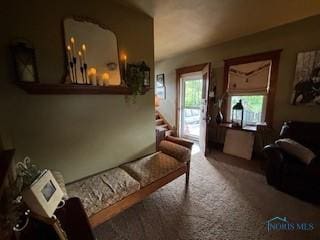 443 E 4th St, Ottawa, OH 45875 - living area featuring carpet
