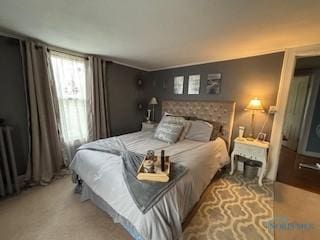 443 E 4th St, Ottawa, OH 45875 - photo 20