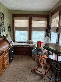 443 E 4th St, Ottawa, OH 45875 - interior space with healthy amount of natural light