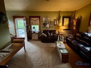 443 E 4th St, Ottawa, OH 45875 - living area featuring carpet floors