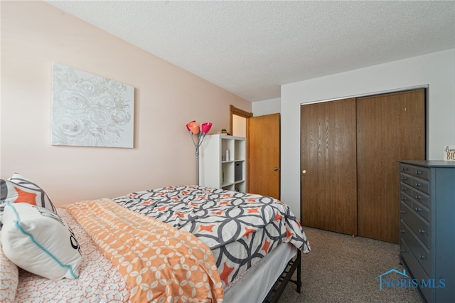 2546 Redfox Dr, Toledo, OH 43611 - bedroom with a closet, carpet floors, and a textured ceiling