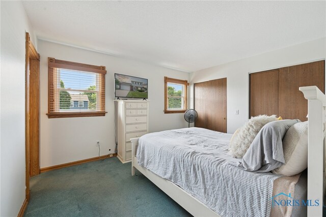 2546 Redfox Dr, Toledo, OH 43611 - carpeted bedroom with two closets, multiple windows, and baseboards
