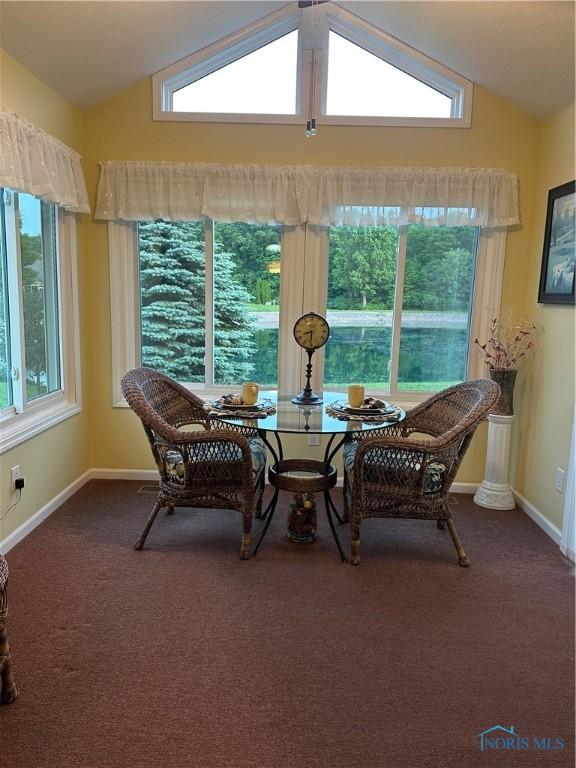 1245 Countryside Dr, Findlay, OH 45840 - dining area with vaulted ceiling, plenty of natural light, dark colored carpet, and baseboards
