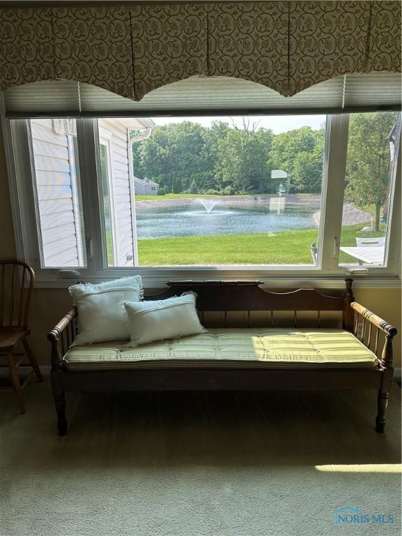 1245 Countryside Dr, Findlay, OH 45840 - sitting room with a water view