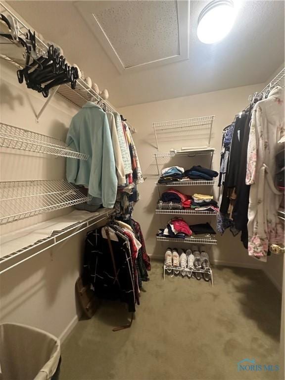 1245 Countryside Dr, Findlay, OH 45840 - walk in closet with carpet flooring and attic access
