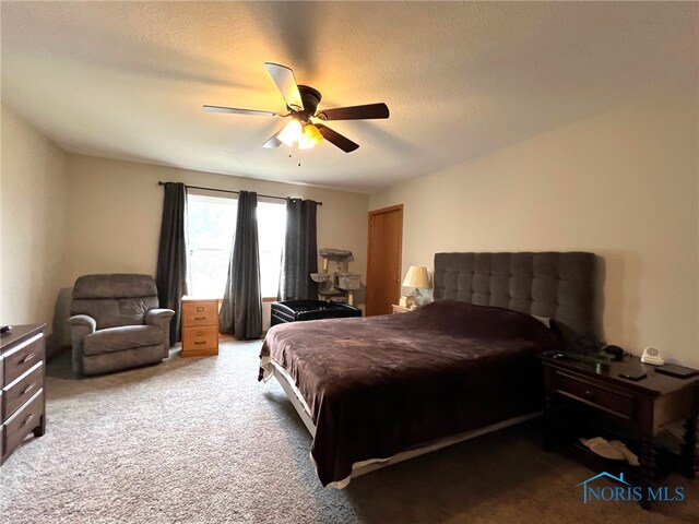 606 Polaris Dr, Upper Sandusky, OH 43351 - bedroom with carpet, ceiling fan, and a textured ceiling