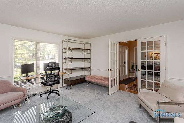 7559 Peachtree Ln, Sylvania, OH 43560 - office with french doors, healthy amount of natural light, a textured ceiling, and carpet floors