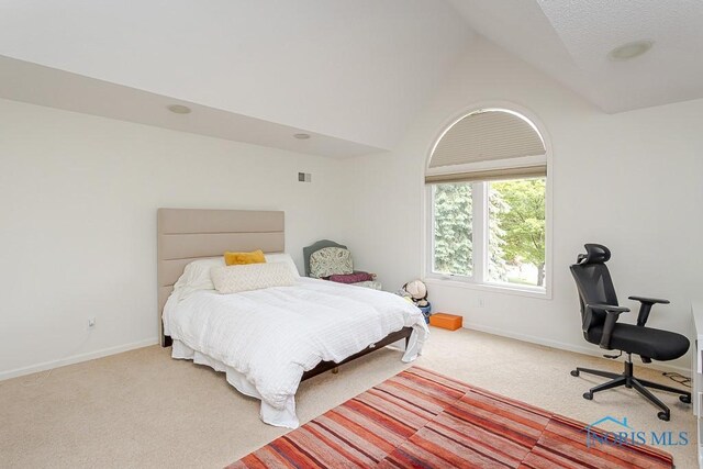 7559 Peachtree Ln, Sylvania, OH 43560 - carpeted bedroom featuring lofted ceiling and baseboards