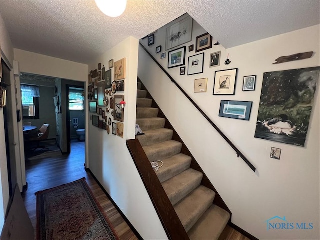 828 Louisiana Ave, Perrysburg, OH 43551 - stairway featuring wood finished floors and a textured ceiling