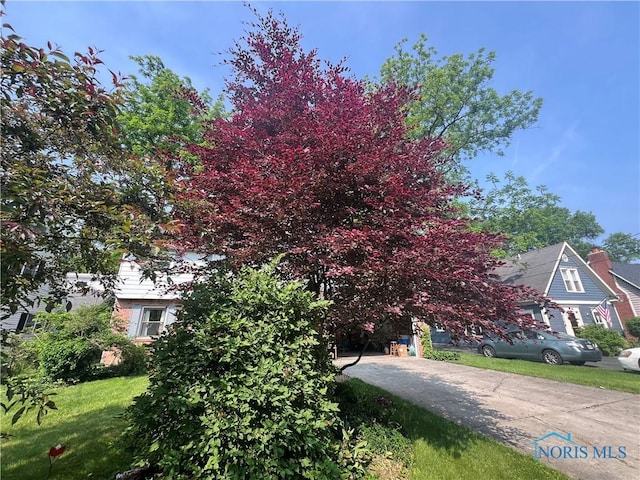 828 Louisiana Ave, Perrysburg, OH 43551 - view of property hidden behind natural elements