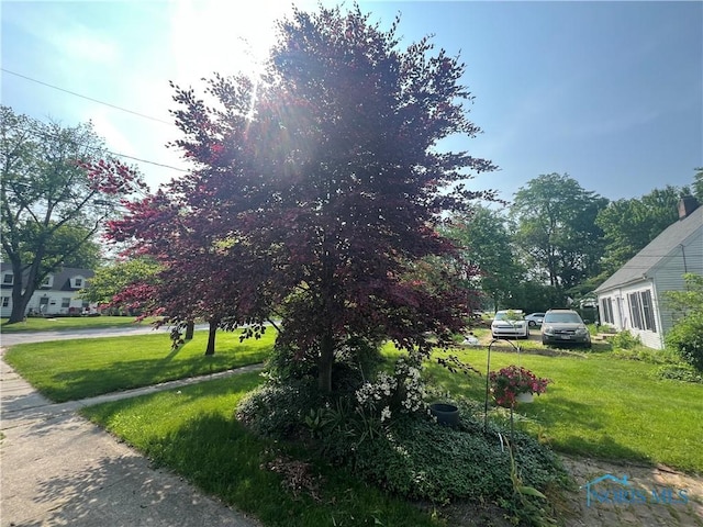 828 Louisiana Ave, Perrysburg, OH 43551 - view of grassy yard