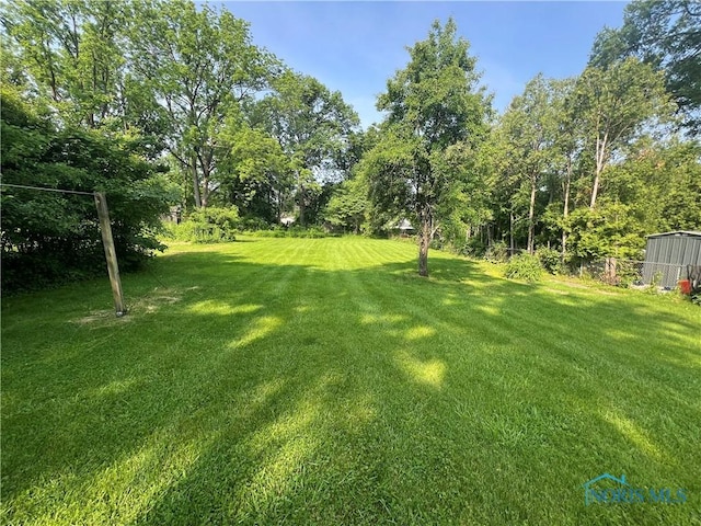828 Louisiana Ave, Perrysburg, OH 43551 - view of yard