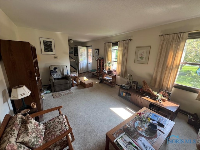 828 Louisiana Ave, Perrysburg, OH 43551 - view of carpeted living room