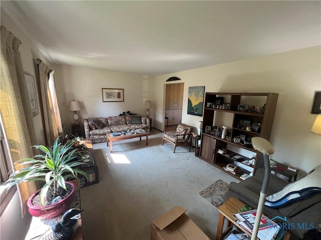 828 Louisiana Ave, Perrysburg, OH 43551 - living area with carpet flooring