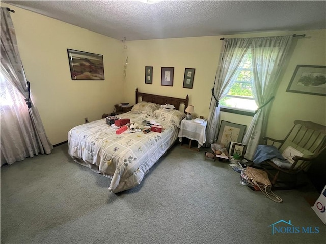 828 Louisiana Ave, Perrysburg, OH 43551 - bedroom featuring a textured ceiling and carpet flooring