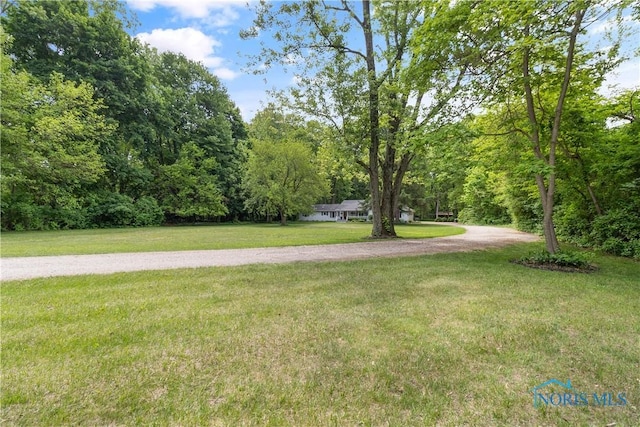 7915 W Bancroft St, Toledo, OH 43617 - view of grassy yard with a view of trees