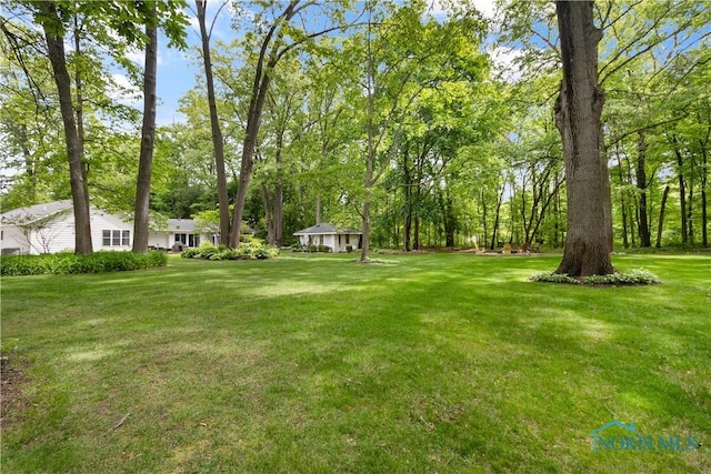7915 W Bancroft St, Toledo, OH 43617 - view of grassy yard