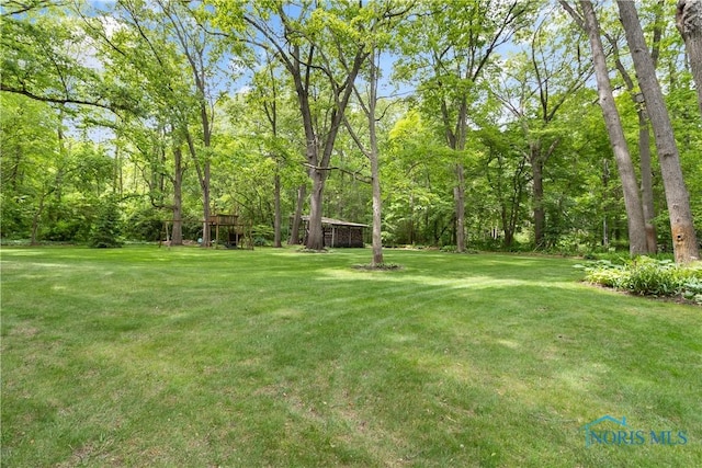 7915 W Bancroft St, Toledo, OH 43617 - view of grassy yard