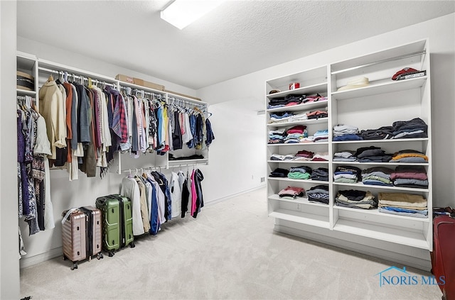8832 Orchard Lake Rd, Holland, OH 43528 - walk in closet featuring carpet