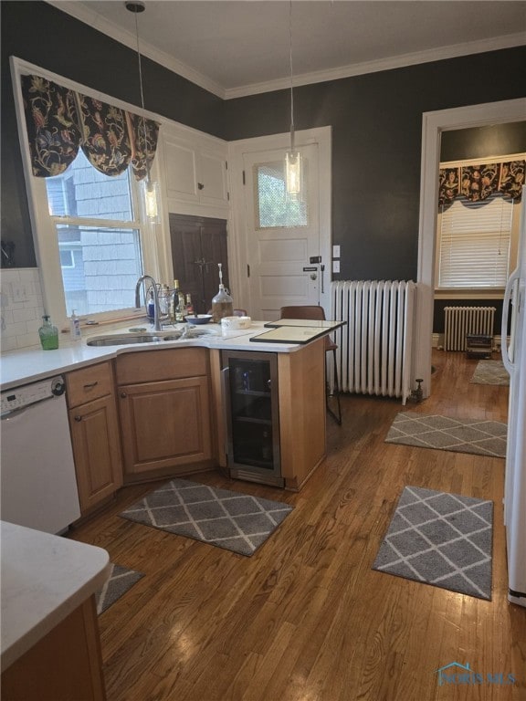 2267 Robinwood Ave, Toledo, OH 43620 - kitchen featuring radiator heating unit, white appliances, a sink, dark wood-style floors, and ornamental molding