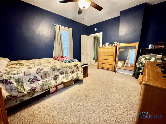118 N Maple St, Hicksville, OH 43526 - bedroom featuring carpet floors and a ceiling fan