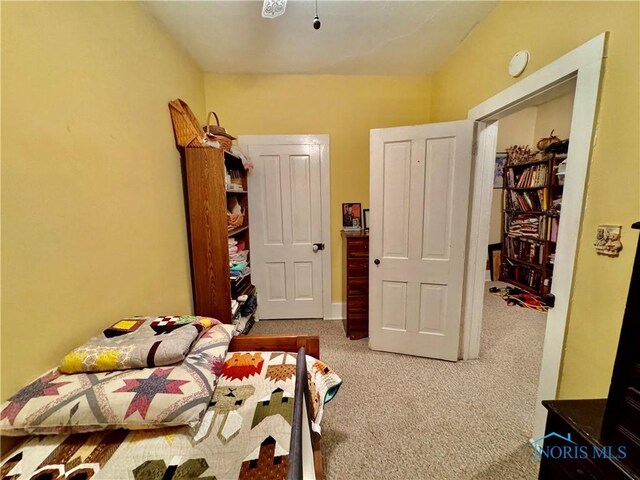 118 N Maple St, Hicksville, OH 43526 - bedroom with carpet floors
