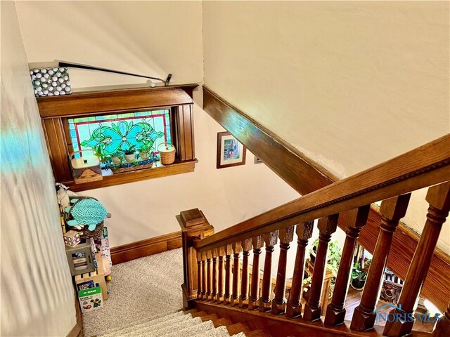118 N Maple St, Hicksville, OH 43526 - staircase featuring healthy amount of natural light, carpet floors, and baseboards