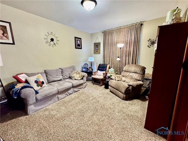 118 N Maple St, Hicksville, OH 43526 - living area featuring carpet flooring