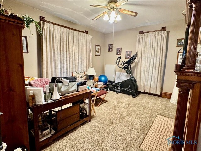 118 N Maple St, Hicksville, OH 43526 - exercise room with carpet and a ceiling fan