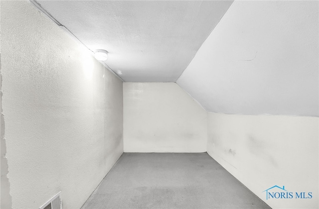 1528 Hirzel St, Toledo, OH 43605 - bonus room featuring lofted ceiling, carpet, and a textured ceiling