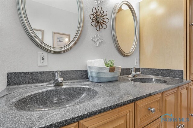 1796 Bucklew Dr, Toledo, OH 43613 - bathroom featuring double vanity