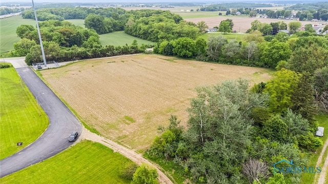 11755 State Route 613, Van Buren, OH 45889 - photo 13