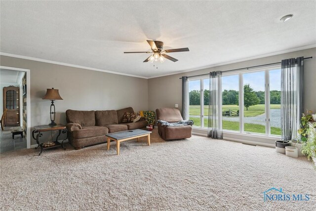 10023 County Road 23, Archbold, OH 43502 - photo 24