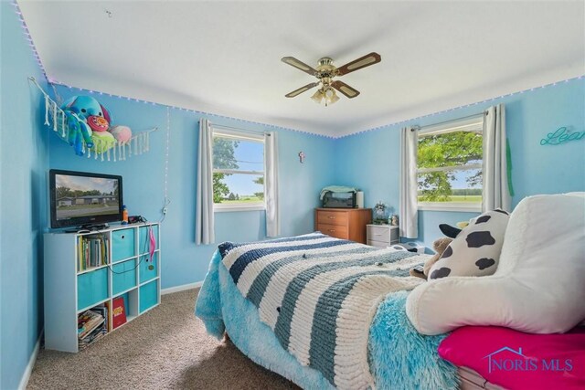 10023 County Road 23, Archbold, OH 43502 - photo 29