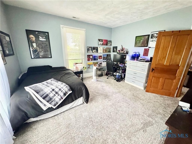1520 S Clinton St, Defiance, OH 43512 - bedroom featuring carpet floors