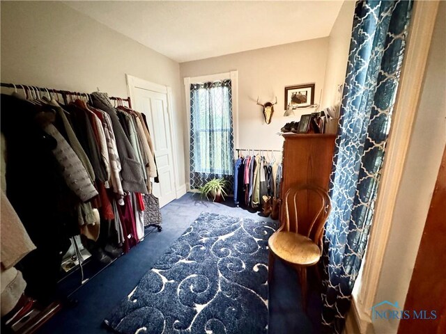 1520 S Clinton St, Defiance, OH 43512 - spacious closet featuring carpet floors