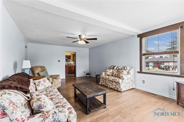 254 N Worthy St, Marblehead, OH 43440 - living room featuring wood finished floors, ceiling fan, and a textured ceiling