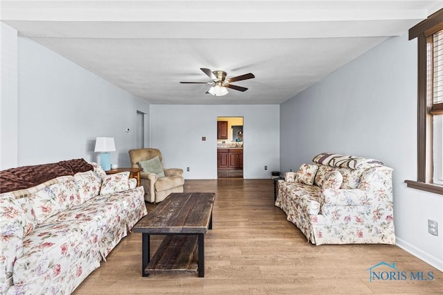 254 N Worthy St, Marblehead, OH 43440 - living room featuring wood finished floors and a ceiling fan