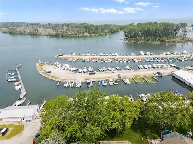 254 N Worthy St, Marblehead, OH 43440 - aerial view of a marina and a large body of water