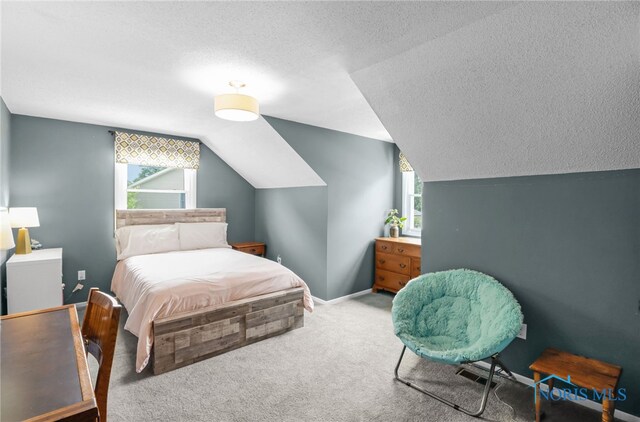 826 Touraine Ave, Bowling Green, OH 43402 - bedroom featuring vaulted ceiling, a textured ceiling, carpet floors, and baseboards