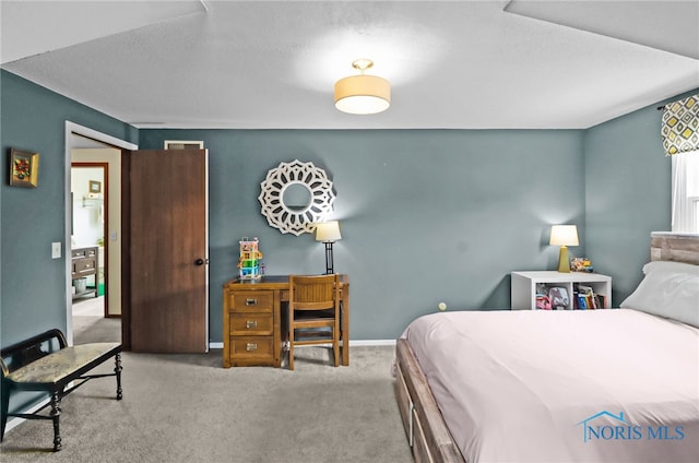 826 Touraine Ave, Bowling Green, OH 43402 - bedroom featuring carpet and baseboards