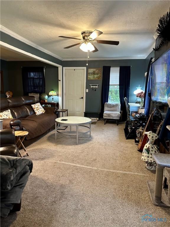 314 Jewett Ave, North Baltimore, OH 45872 - carpeted living room featuring ceiling fan, crown molding, and a textured ceiling