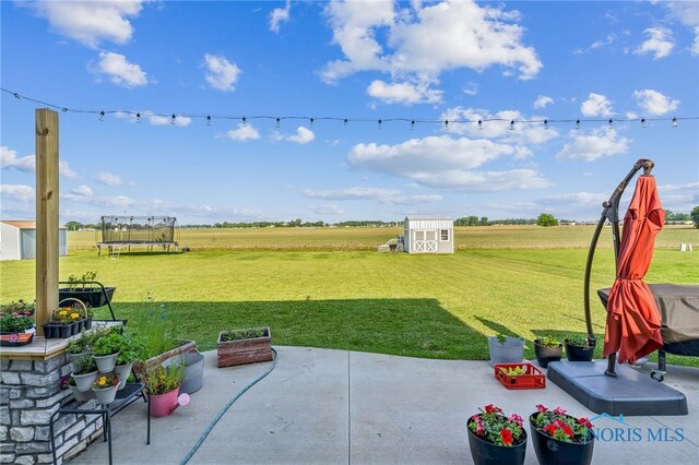 1209 Apache Dr, Wauseon, OH 43567 - view of grassy yard with a patio area, a shed, a trampoline, and a view of countryside