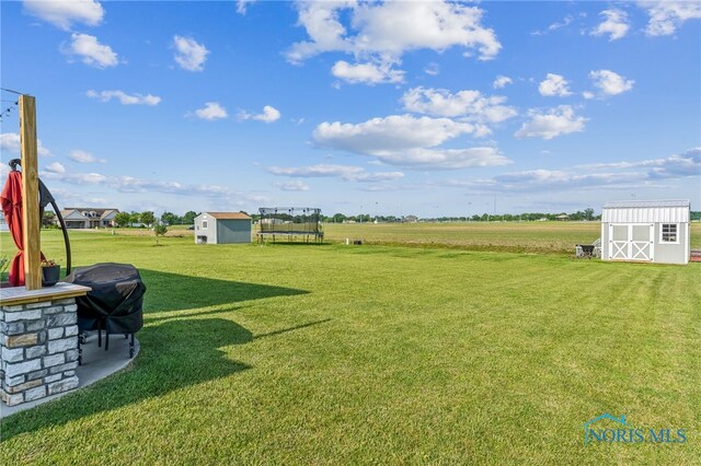 1209 Apache Dr, Wauseon, OH 43567 - view of grassy yard with a storage shed and a trampoline