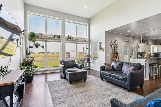 1209 Apache Dr, Wauseon, OH 43567 - living room with plenty of natural light, a high ceiling, recessed lighting, and dark wood-style floors