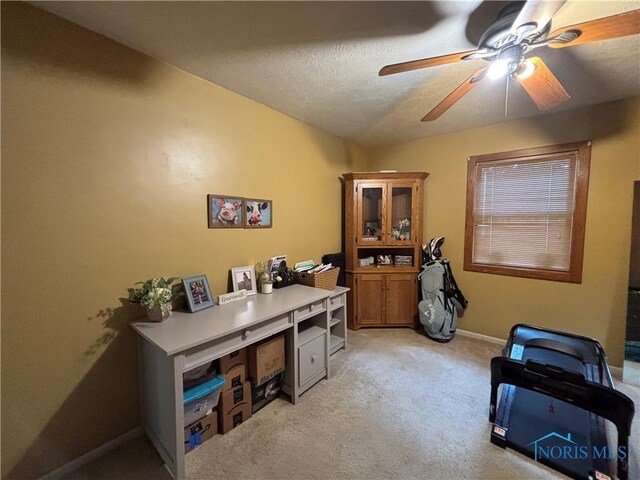803 W Holland St, Archbold, OH 43502 - office area with light carpet, a ceiling fan, baseboards, and a textured ceiling