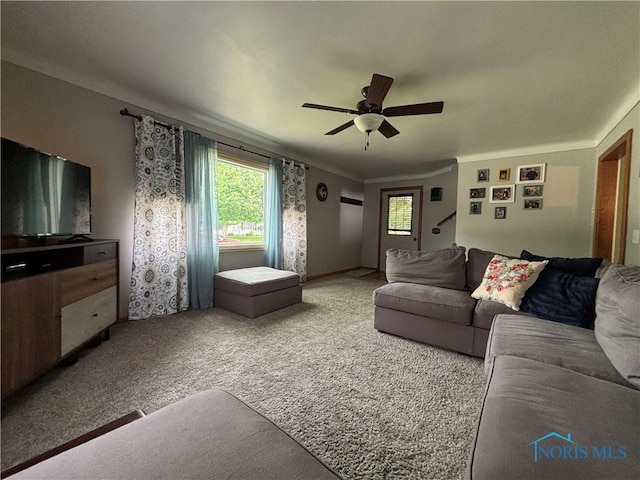 803 W Holland St, Archbold, OH 43502 - living area with healthy amount of natural light, ceiling fan, and carpet flooring